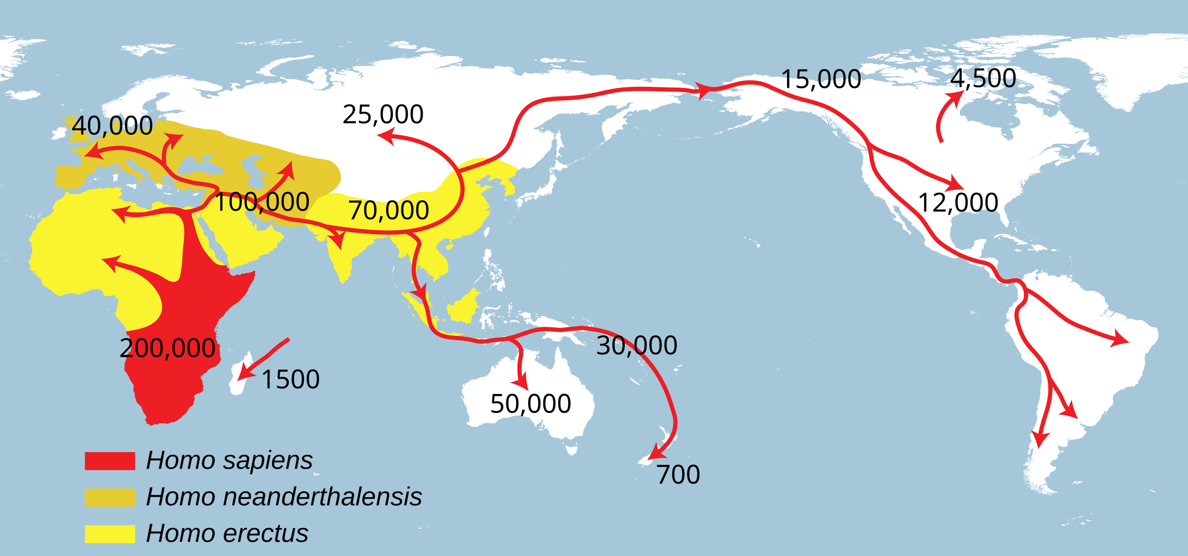 Planisfério com as rotas de dispersão dos primeiros seres humanos, marcadas por setas vermelhas que partem da África. A África central e austral, ponto de origem do Homo sapiens, aparece destacada, e datas ao longo das setas indicam há quantos anos cada região foi alcançada. As rotas seguem da África para o Oriente Médio, a Europa e a Ásia, descem em direção ao Sudeste Asiático e à Austrália, cruzam da Ásia para a América do Norte pelo estreito de Bering, ao norte do Oceano Pacífico, e depois avançam por toda a América até o sul do continente. Uma legenda distingue as áreas ocupadas por Homo sapiens, Homo neanderthalensis e Homo erectus.